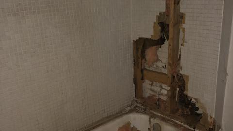 Big Red November 2020 - IMG_1311.JPG