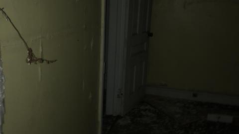 Big Red November 2020 - IMG_1314.JPG