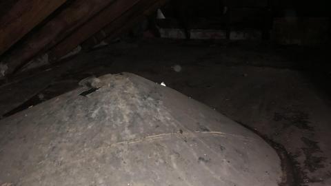 Big Red November 2020 - IMG_1316.JPG