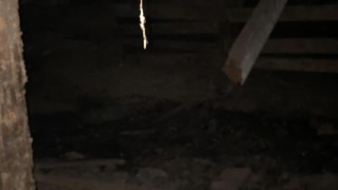 Photo from Quick Sand November 2020