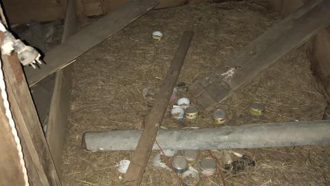 Photo from Quick Sand November 2020