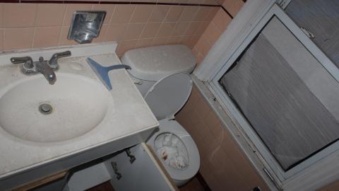 Blinded By The (Head)Lamp(s) - IMG_8893.JPG