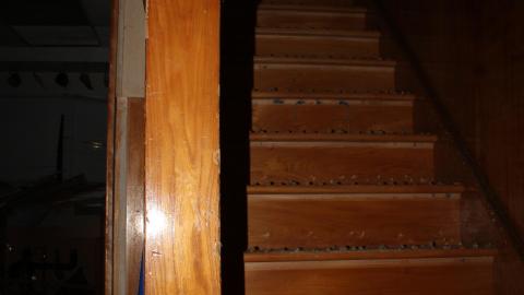 Photo from Blinded By The (Head)Lamp(s)