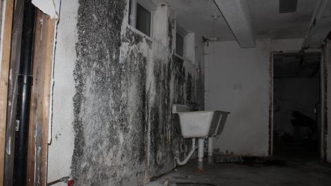 Blinded By The (Head)Lamp(s) - IMG_8870.JPG