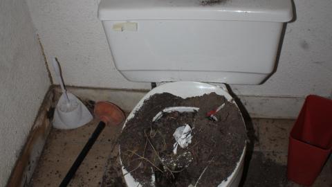 Blinded By The (Head)Lamp(s) - IMG_8869.JPG