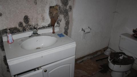 Blinded By The (Head)Lamp(s) - IMG_8868.JPG