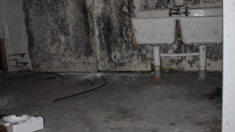 Blinded By The (Head)Lamp(s) - IMG_8859.JPG