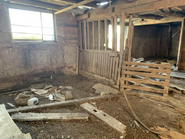 Long abandoned horse barn photo 4