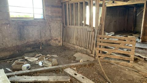 Long abandoned horse barn photo 4