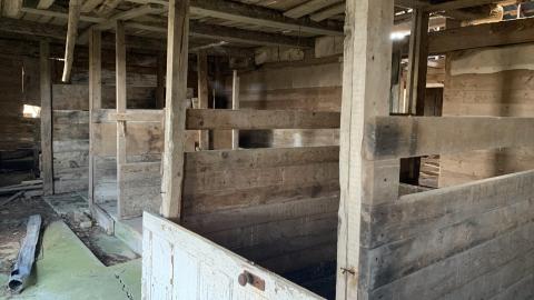 November 28 - IMG_0078.JPG