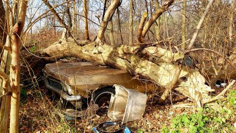 Tired Leg - 20201201_113003.jpg