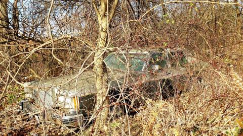 Tired Leg - 20201201_113124.jpg