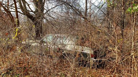 Tired Leg - 20201201_113424.jpg