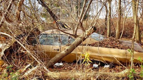 Tired Leg - 20201201_113433.jpg