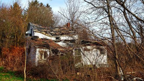 Tired Leg - 20201201_113012.jpg