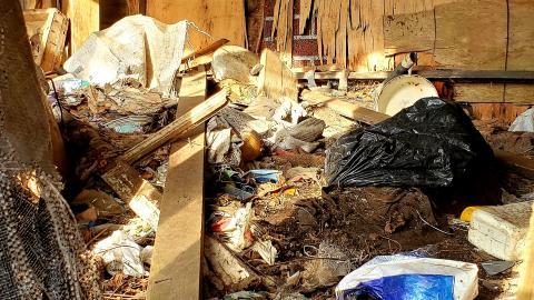 Tired Leg - 20201201_113351.jpg