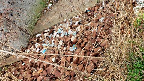 Tired Leg - 20201201_113031.jpg