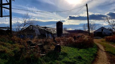 Tired Leg - 20201201_113058.jpg