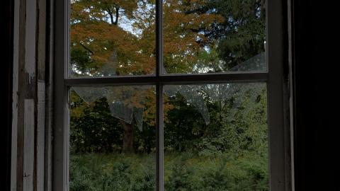 Sep 2020 - 6991AA3F-5964-45EB-A30F-6B5C9CC3E604.jpeg