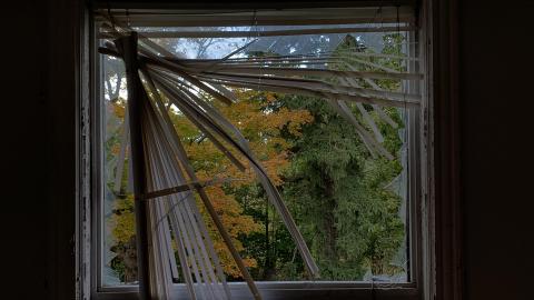 Sep 2020 - E31A53F9-0DC9-4A11-B812-D60752729368.jpeg