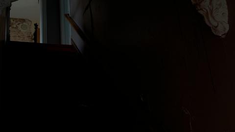 Sep 2020 - BE4EBB46-3026-4ADC-9C22-5CA4F3CEC5C5.jpeg