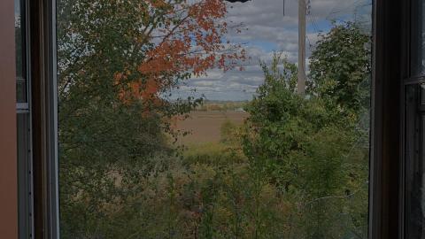 Sep 2020 - 3E1538B9-9D90-4450-AE6A-5925A7F37075.jpeg