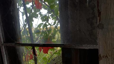 Sep 2020 - 0964B49E-C6F3-4C0C-B86B-80625432139E.jpeg