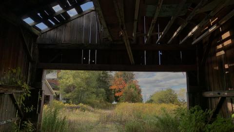 Sep 2020 - CB7038F4-BAED-467C-93D2-0F411B45DBE0.jpeg