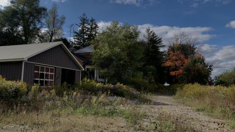 Sep 2020 - E49E8E97-7F8D-49F9-8D26-85875FFF96C2.jpeg