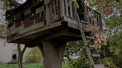 Sep 2020 Visit - B208924D-B6B0-4AA2-84AF-AED77B06C0AD.jpeg