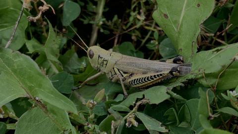 Sep 2020 Visit - 25C53D23-DB44-4A0C-B2B9-98456AB23FC8.jpeg