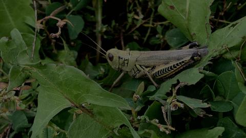 Sep 2020 Visit - A38DCEBF-6CC9-4322-A123-C093450654F0.jpeg