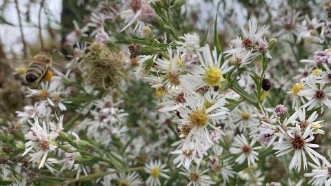 Sep 2020 Visit - 998A8514-1B6F-47F5-BFD8-28398C8FF3EA.jpeg