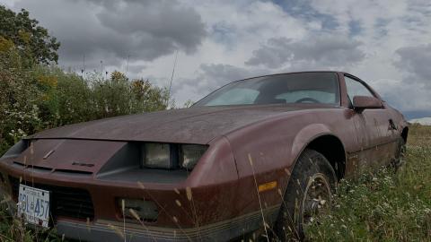 Sep 2020 Visit - F7F59E0C-82B7-4BF8-AC56-599EF41D04AF.jpeg