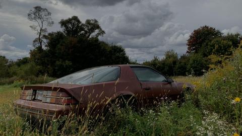 Sep 2020 Visit - 9B7E4E3C-5DE2-4481-97F4-5648710EC2E3.jpeg