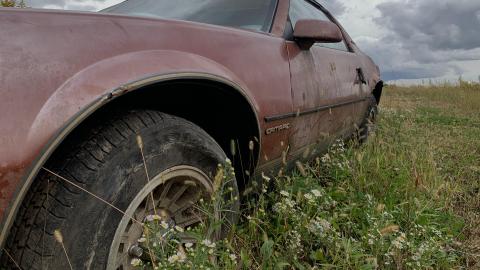 Sep 2020 Visit - 8DC936DB-73A5-491C-9A57-27D61E46E865.jpeg