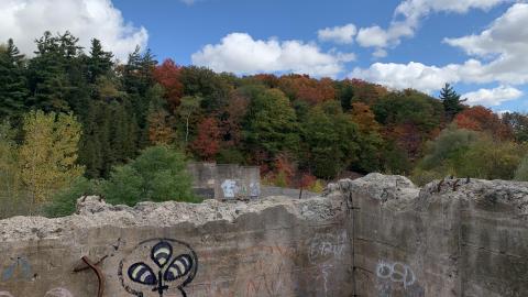 Sep 2020 - B5A03A10-9C41-4AD5-919B-F8DE50F9C40A.jpeg