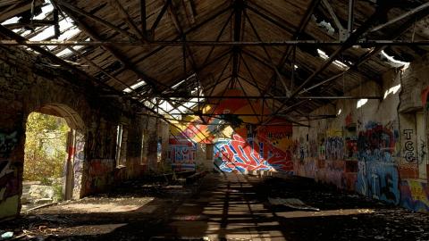 Sep 2020 - 9402DFD6-D6BC-4C65-859D-EC81867C74F9.jpeg