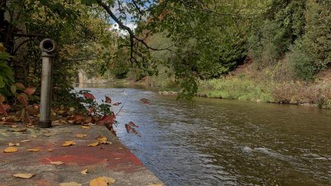 Sep 2020 - 02025B00-EE5F-4675-AD8F-D658CDEDA871.jpeg