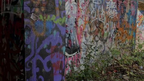 Sep 2020 - AE5A9CC8-5FBF-43AD-B1ED-A861F7CD7707.jpeg