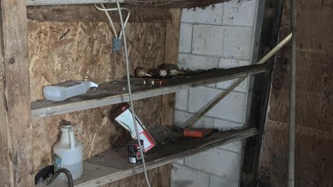 November 28th - IMG_0014.JPG