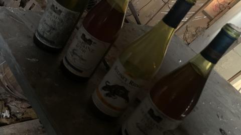 November 28th - IMG_0017.JPG