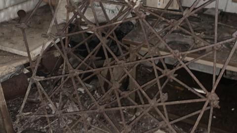 November 28th - IMG_0018.JPG