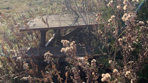 November 28th - IMG_0038.JPG