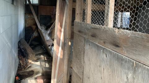 November 28th - IMG_0058.JPG