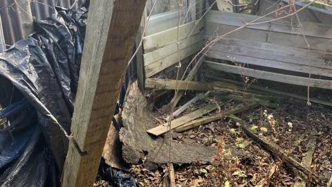 November 28th - IMG_0064.JPG