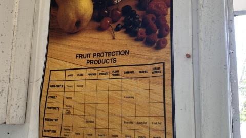 November 28th - IMG_9990.JPG