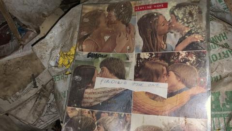 Hiding on Upper James photo 5