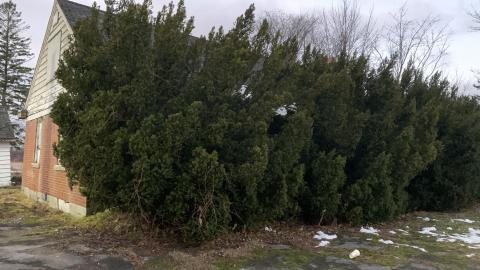 December 5 - 90's Time Capsul - IMG_0807.JPG