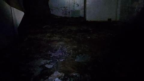 Trucka and more trucks - 20201205_182205.jpg